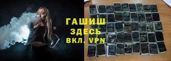 хмурый Алексин