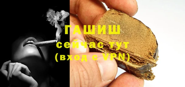 хмурый Алексин