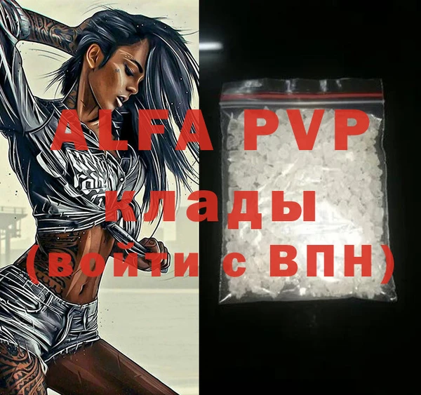 хмурый Алексин